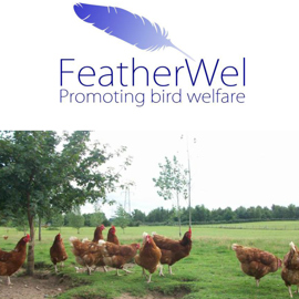 Featherwel Promoting Bird Welfare 1