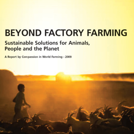 Beyond Factory Farming Cover Crop