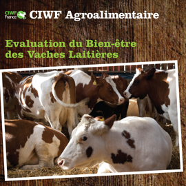 FR_Dairy-Welfare-Booklet_Final-1