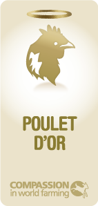 Fr Good Chicken Award Non Dated (1)
