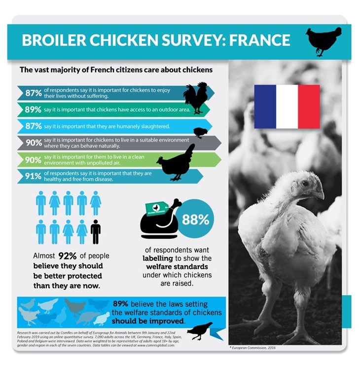 Eurogroup broiler survey.jpg