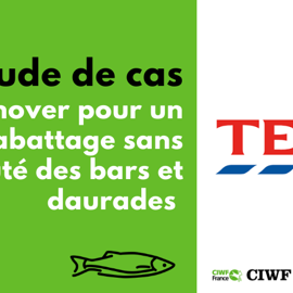 Etude De Cas Tesco Poisson