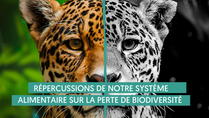 NL Unep Event Email Image