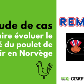 FR Etude De Cas REMA1000 NK