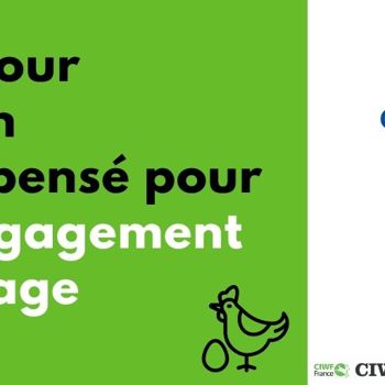 Un Œuf d'Or pour Carrefour Taïwan