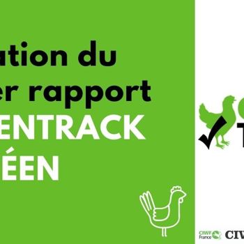Le premier rapport ChickenTrack européen est disponible !