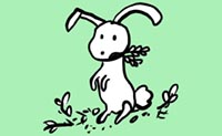 Illustration of rabbit eating