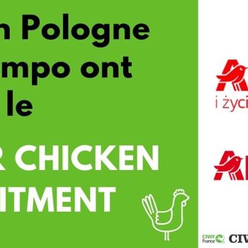 Auchan rejoint le Better Chicken Commitment en Pologne et en Espagne